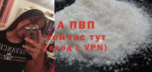 прущие грибы Богородицк