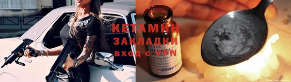 прущие грибы Богородицк