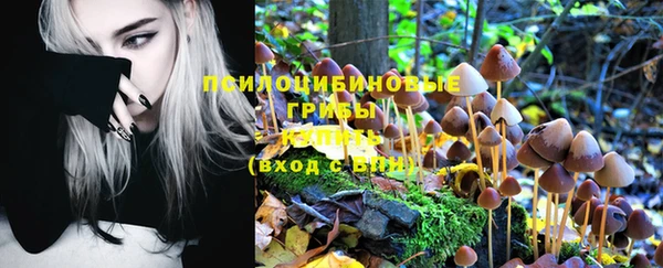 apvp Белоозёрский