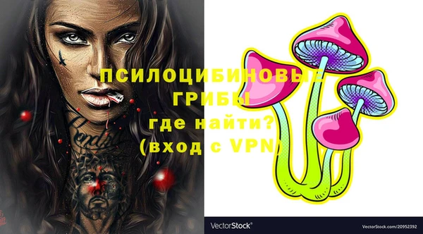 прущие грибы Богородицк