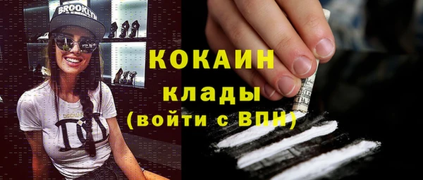прущие грибы Богородицк