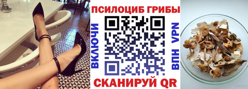 купить наркоту  Белебей  Псилоцибиновые грибы MAGIC MUSHROOMS 